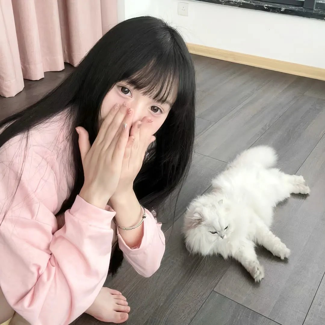 密电风云