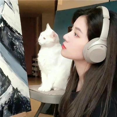 卿怜我爱